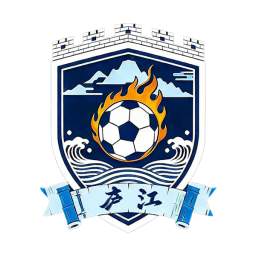 安巢经开区